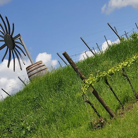 Hotel-Restaurant Schweinberger Stetten エクステリア 写真