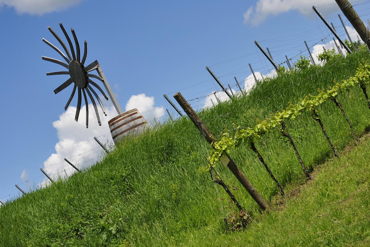 Hotel-Restaurant Schweinberger Stetten エクステリア 写真